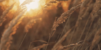 Ag + Energy Roundtable tile